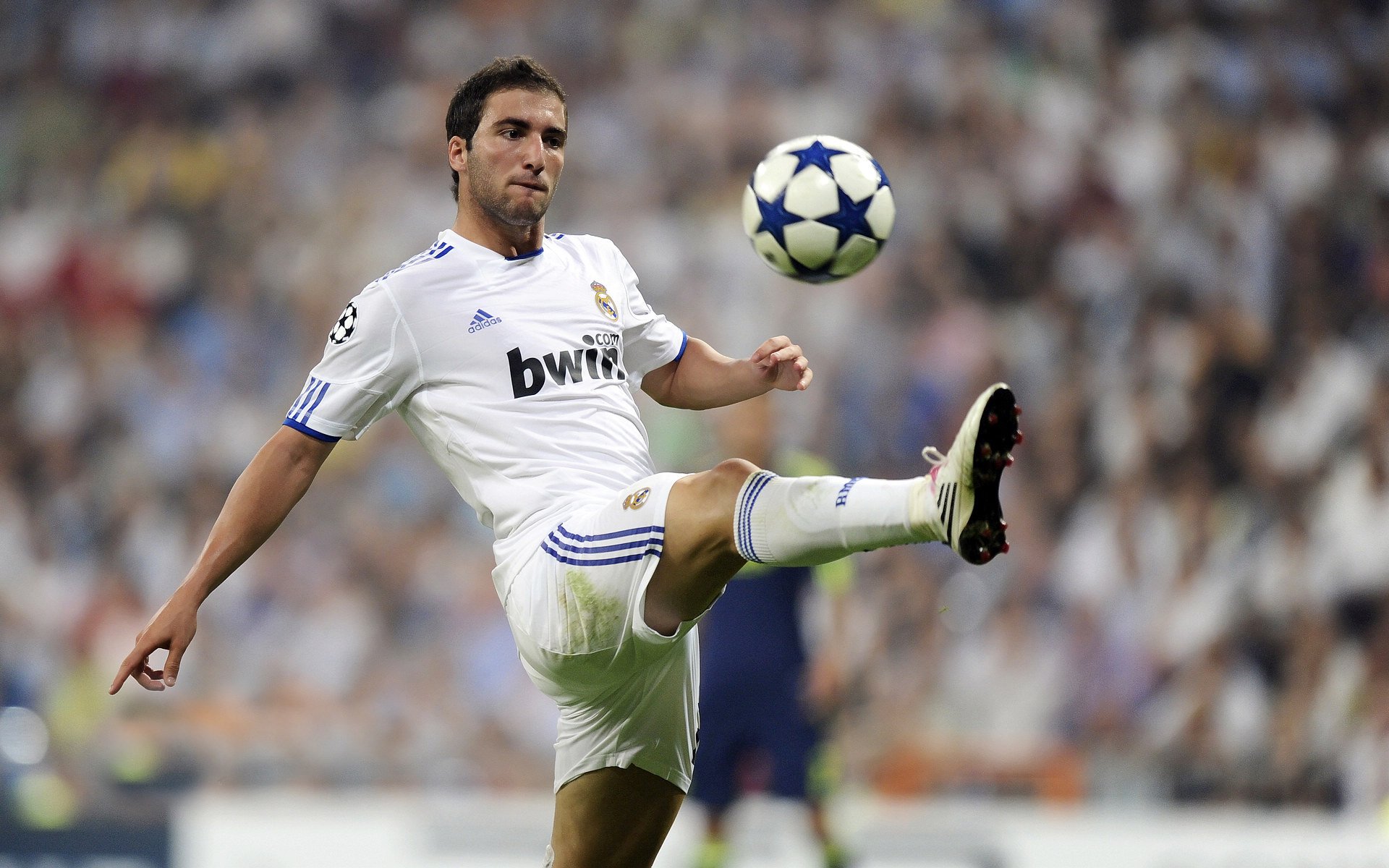 伊朗国家队获国际足联表彰:“拓荒者精神”,伊朗足协官网